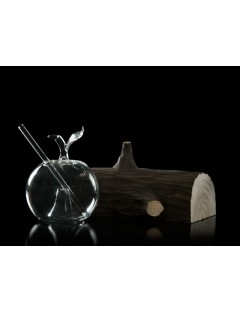 Vaso de recambio para Apple Wood Trunk_Arte Líquido